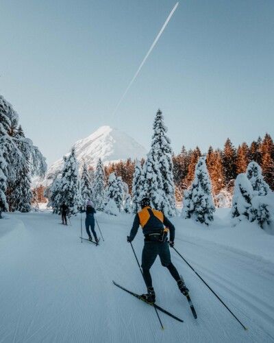 Ski-Langlauf Seefeld